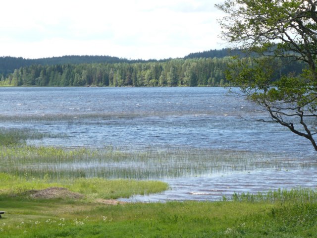 zweden200789.jpg